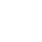 sole