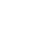stella